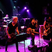 Jaya The Cat - List pictures