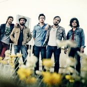 The Wild Feathers - List pictures