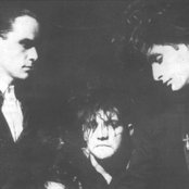Caifanes - List pictures