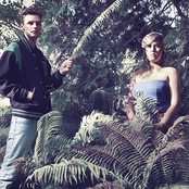 Quadron - List pictures