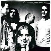 Scheer - List pictures