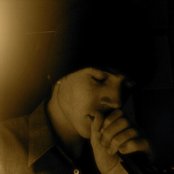 Yellow Ostrich - List pictures