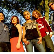 Duhks - List pictures