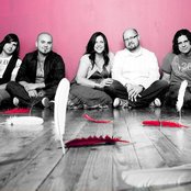 Pocket Full Of Rocks - List pictures