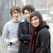 Wombats - List pictures