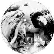 Dead Flowers - List pictures