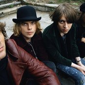 Vines - List pictures