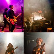 The Purrs - List pictures