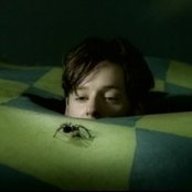 Marcy Playground - List pictures