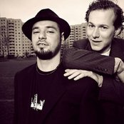 Koalas Desperados - List pictures