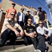 The Black Seeds - List pictures