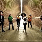 The Go! Team - List pictures