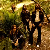 Orchid - List pictures