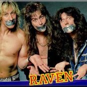 Raven - List pictures