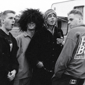 Die Fantastischen Vier - List pictures
