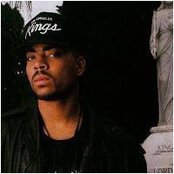 The D.o.c. - List pictures