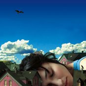 Laleh - List pictures