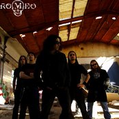 Romeo - List pictures