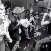 The Cows - List pictures