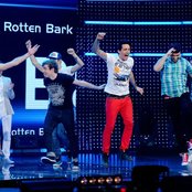 Rotten Bark - List pictures