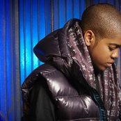 Chipmunk - List pictures