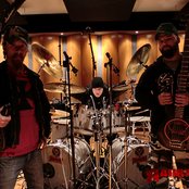 Raubtier - List pictures