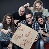 Dreamshade - List pictures