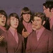 The Count Five - List pictures