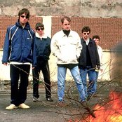 Oasis - List pictures