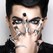 Adam Lambert - List pictures