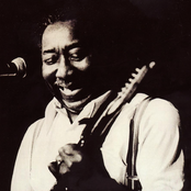 Muddy Waters - List pictures
