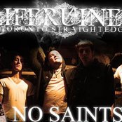 Liferuiner - List pictures