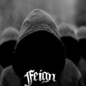 Feign - List pictures