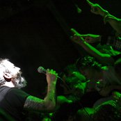 Beastwars - List pictures