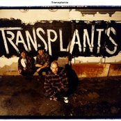 Transplants - List pictures