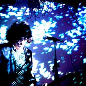 The Kvb - List pictures