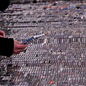 The Struts - List pictures