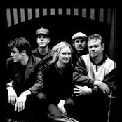 Kingfisha - List pictures