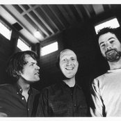 Silkworm - List pictures