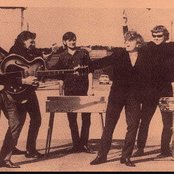 Them - List pictures