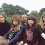 Novella - List pictures