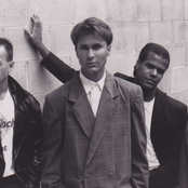 Psykosonik - List pictures