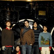 The Acorn - List pictures