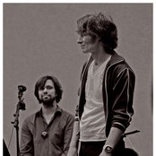 Foetus - List pictures