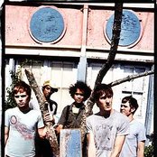 The Blood Brothers - List pictures