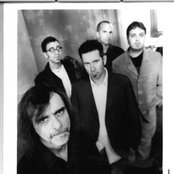 Backsliders - List pictures