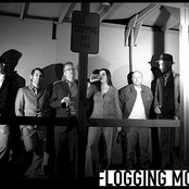 Flogging Molly - List pictures