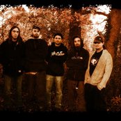 Coven - List pictures