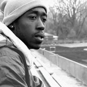 Freddie Gibbs - List pictures