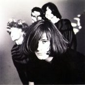 Loop - List pictures